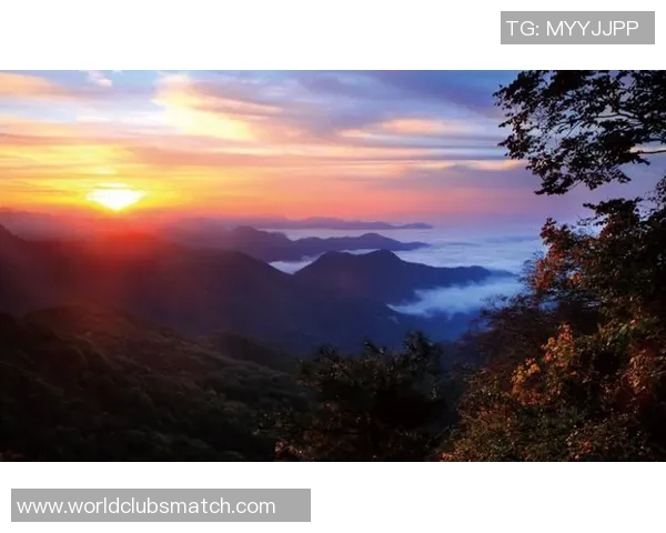 刘丽的攀岩人生:在高峰与深渊之间的深度对话与心灵探索 刘丽的攀岩人生:在高峰与深渊之间的深度对话与心灵探索